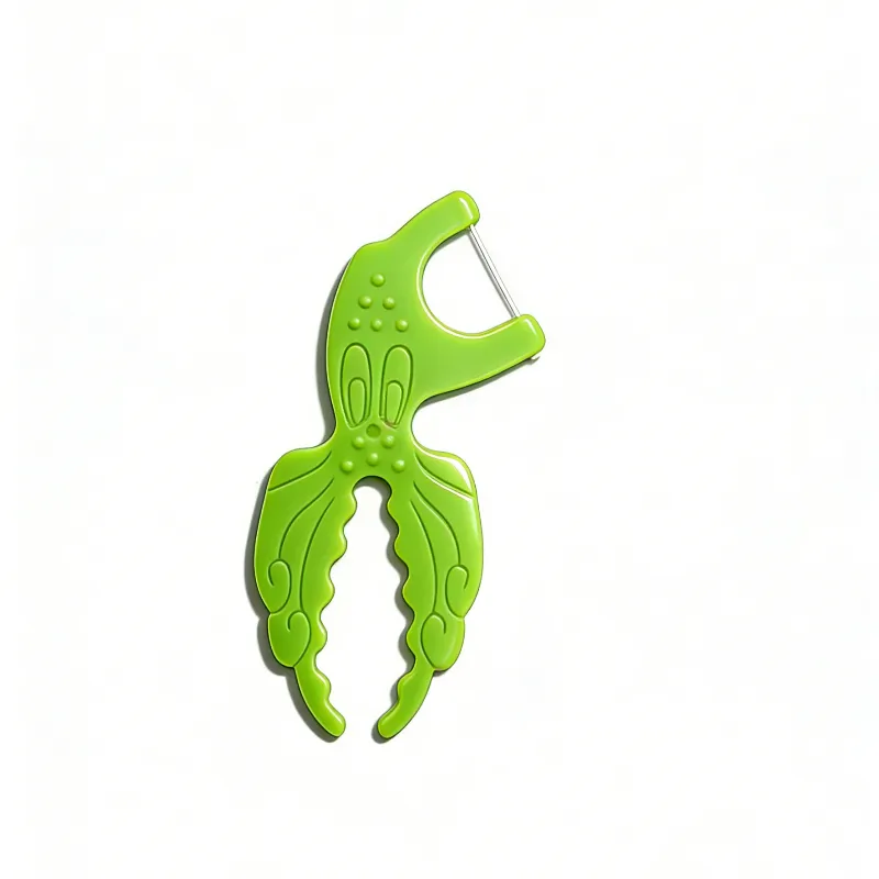 Kids Dental Floss Pick F