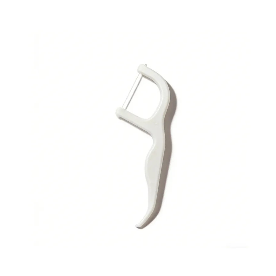 Adult Dental Floss Pick E